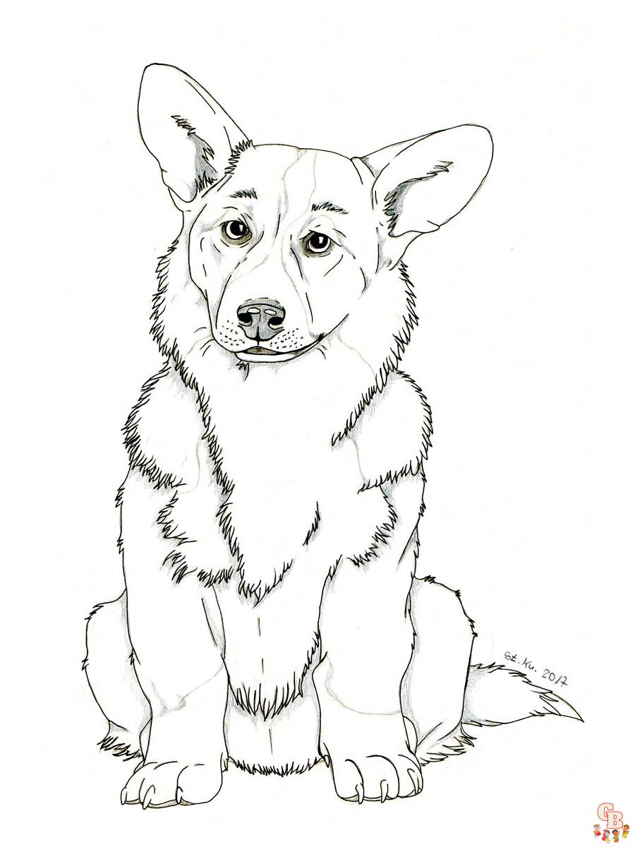 Corgi Coloring Pages 5