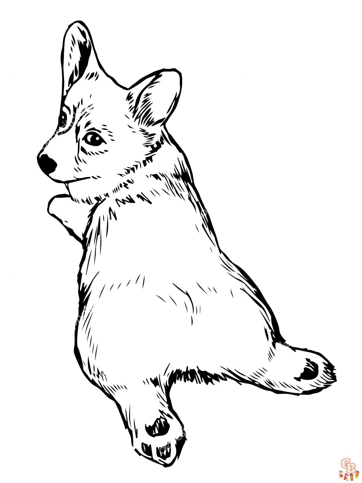 Corgi Coloring Pages 6