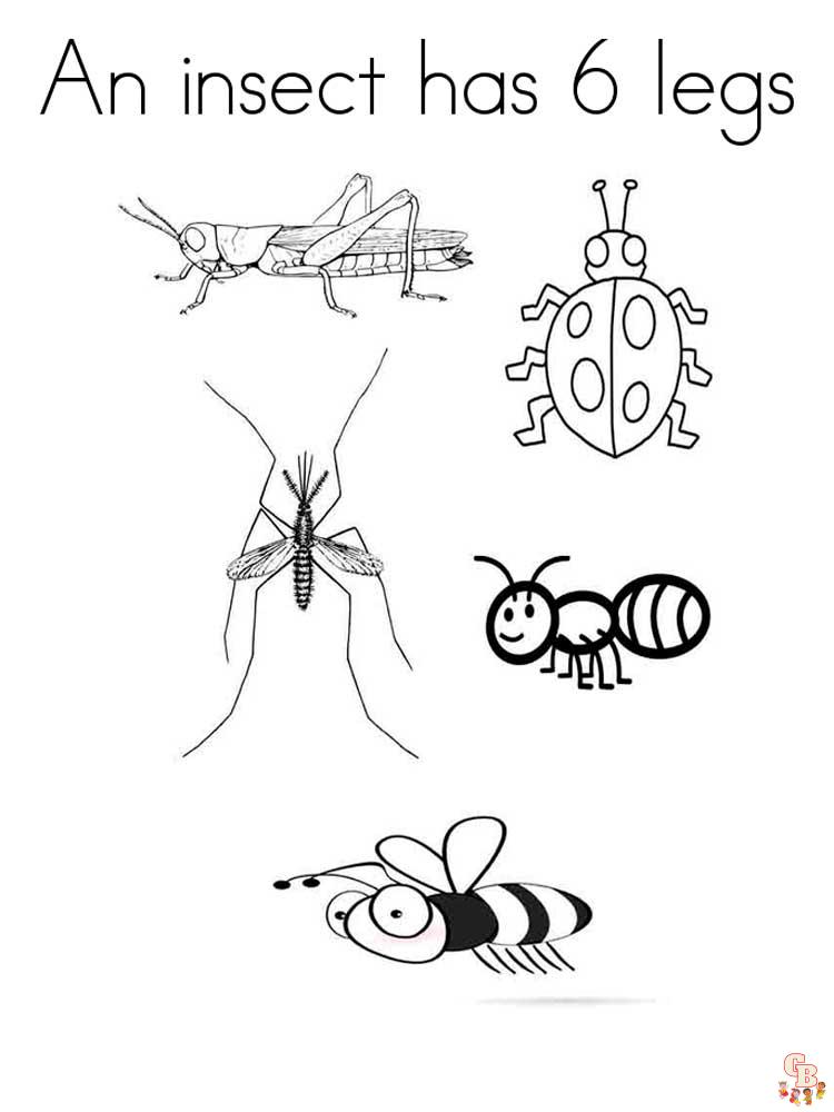 Insect Coloring Pages 4