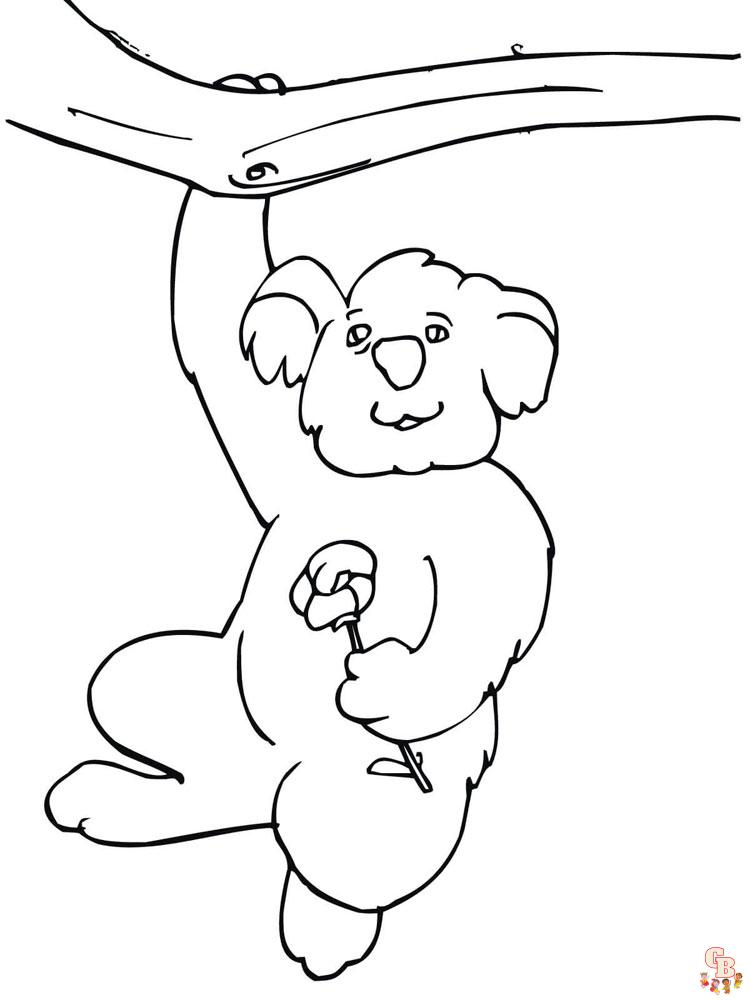 Koala Animal Coloring Pages 339