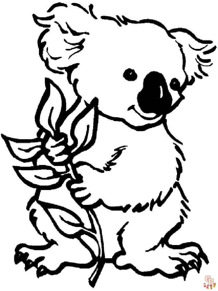 Koala Animal Coloring Pages 340