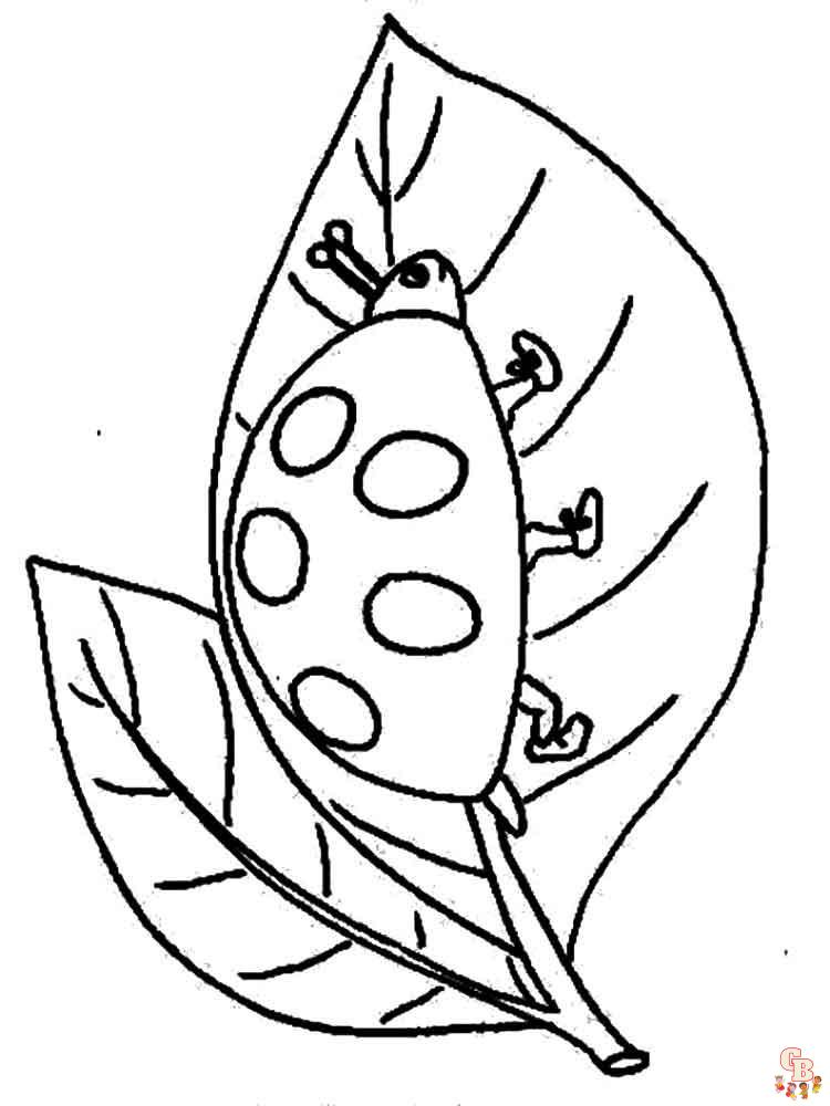 Ladybug coloring pages 11