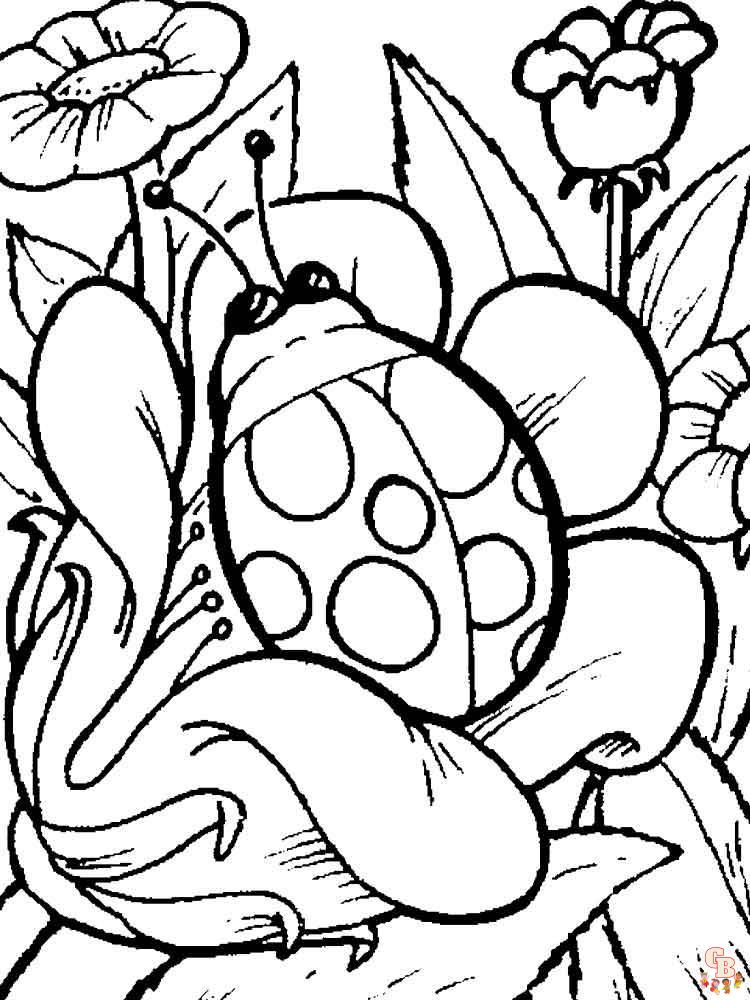 Ladybug coloring pages 15