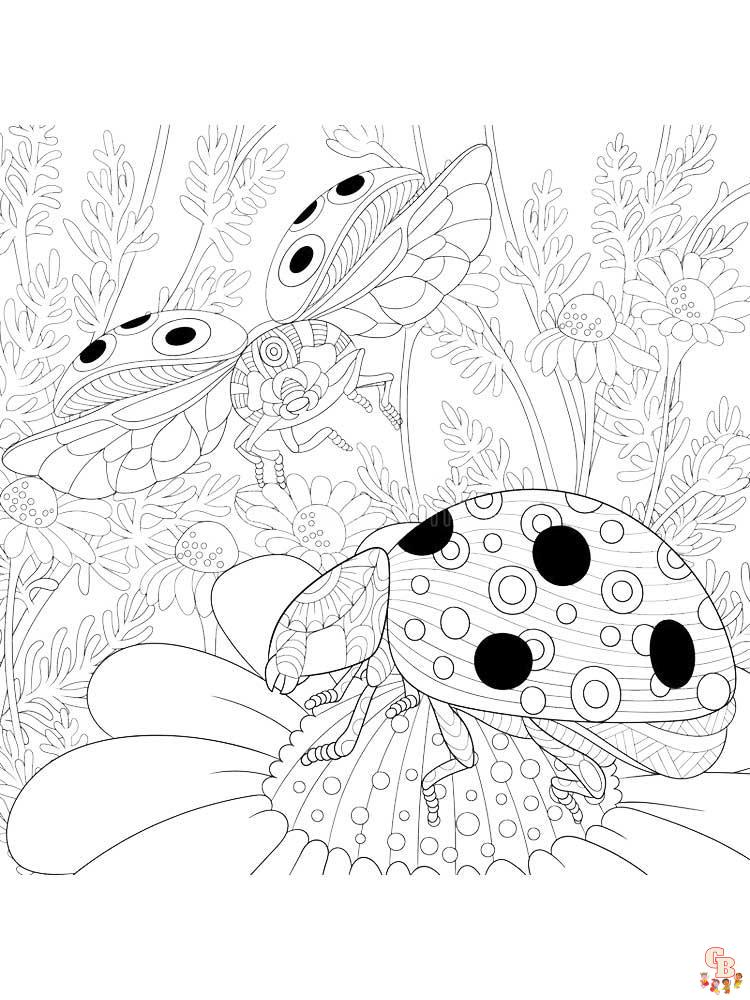 Ladybug coloring pages 3