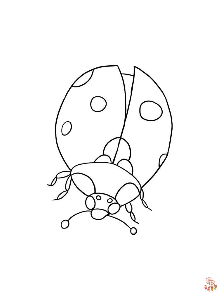 Ladybug coloring pages 33