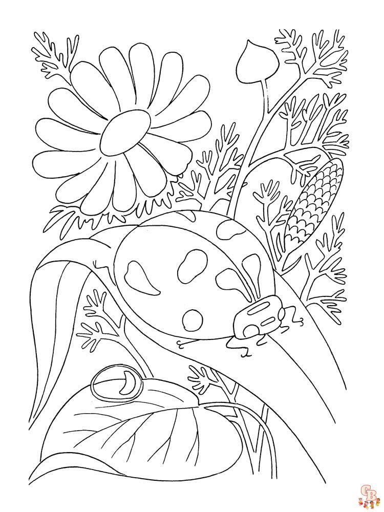 Ladybug coloring pages 39