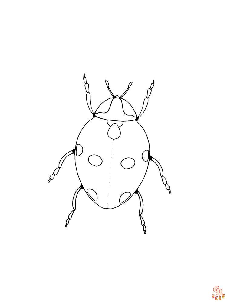 Ladybug coloring pages 41