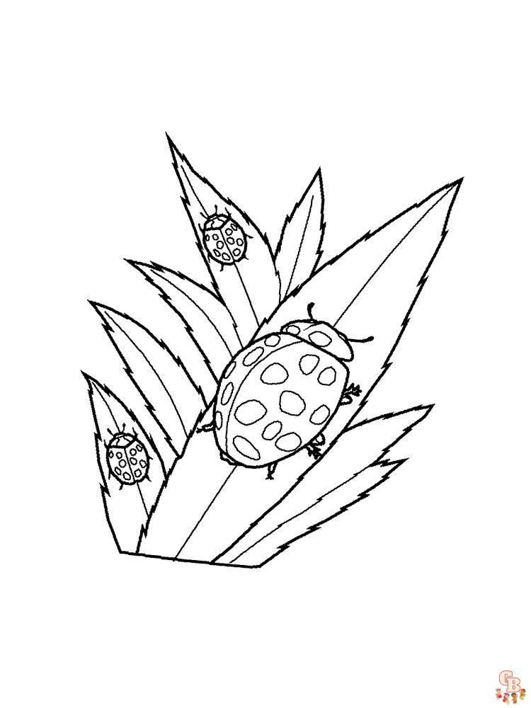 Ladybug coloring pages 42