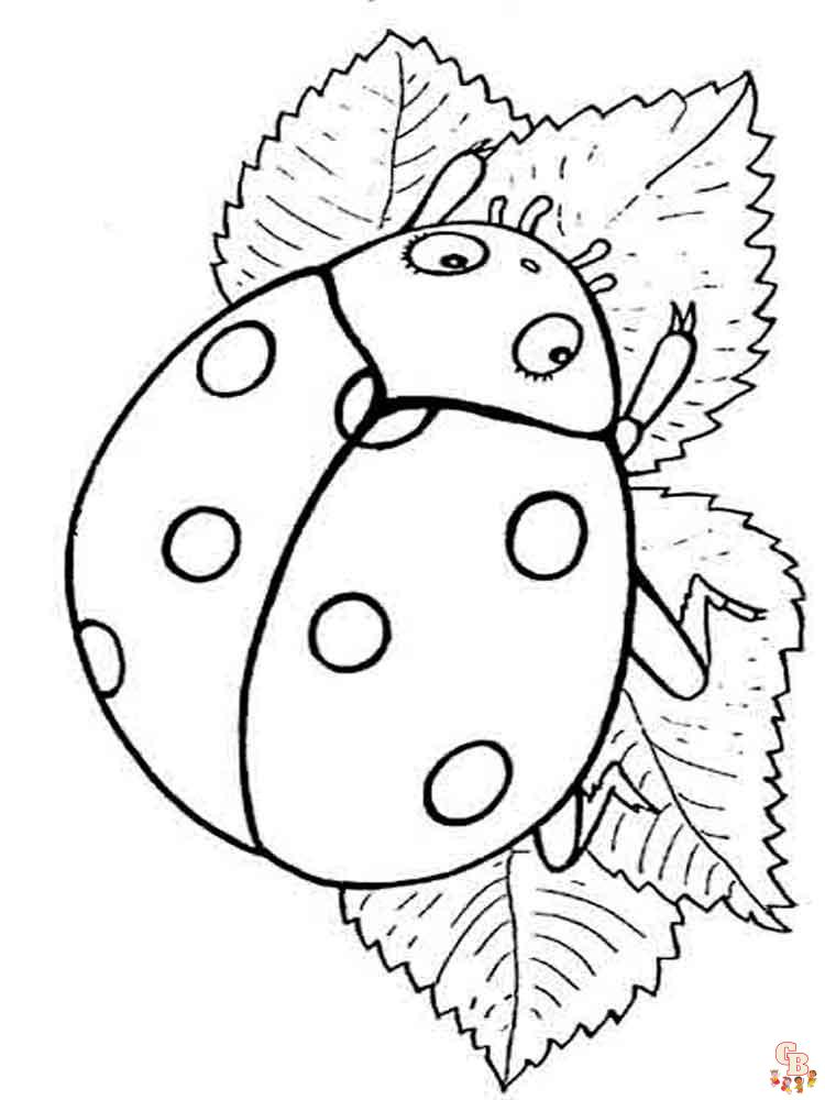 Ladybug coloring pages 7