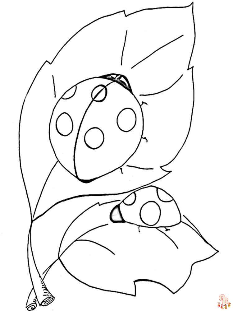 Ladybug coloring pages 8