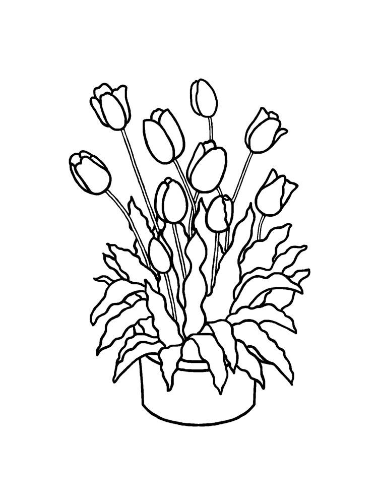 Tulip coloring pages 1