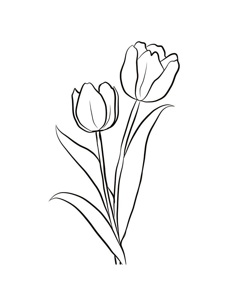 Tulip coloring pages 10