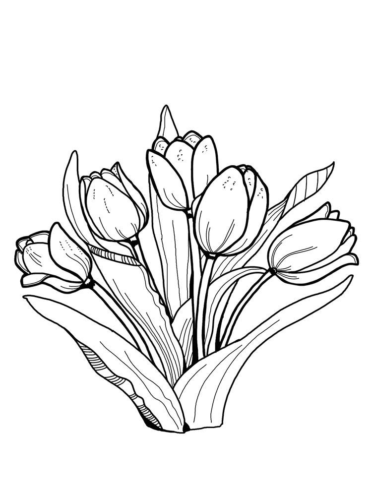 Tulip coloring pages 11