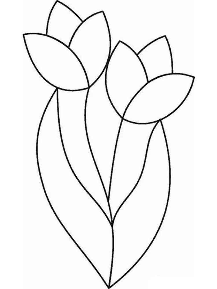 Tulip coloring pages 16