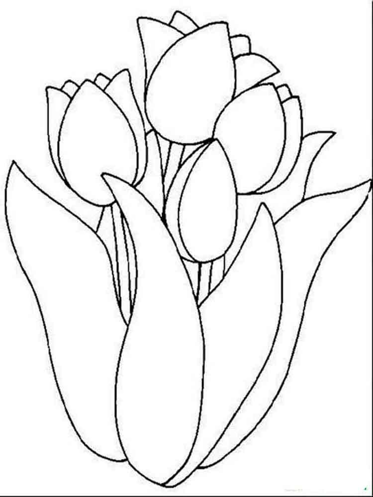 Tulip coloring pages 17