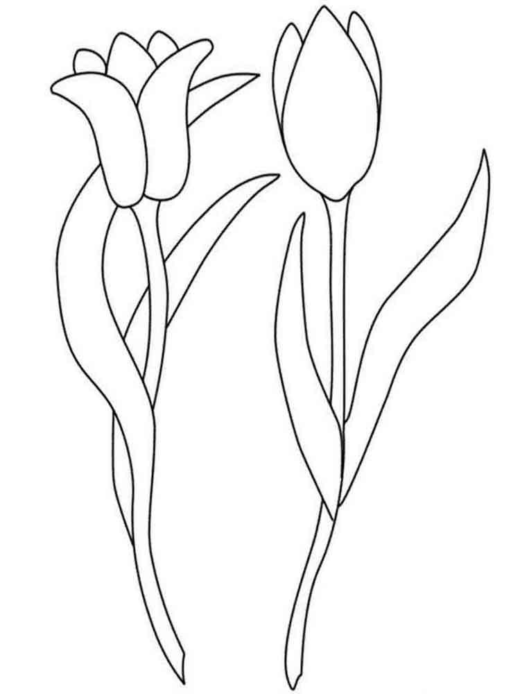 Tulip coloring pages 18