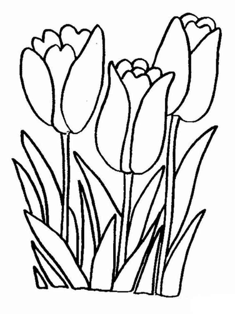 Tulip coloring pages 21