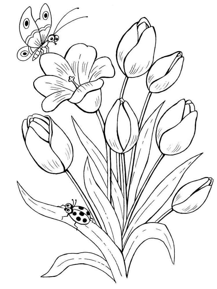 Tulip coloring pages 23