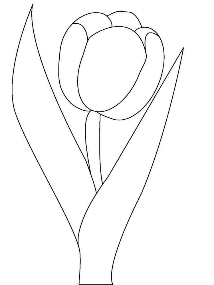 Tulip coloring pages 26