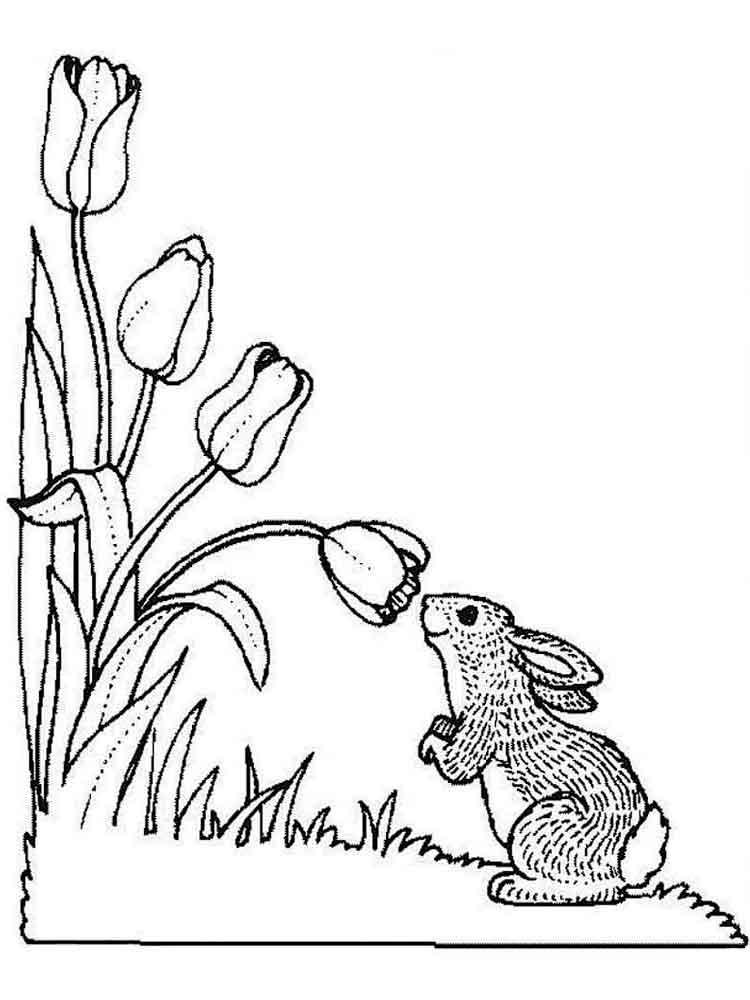 Tulip coloring pages 30