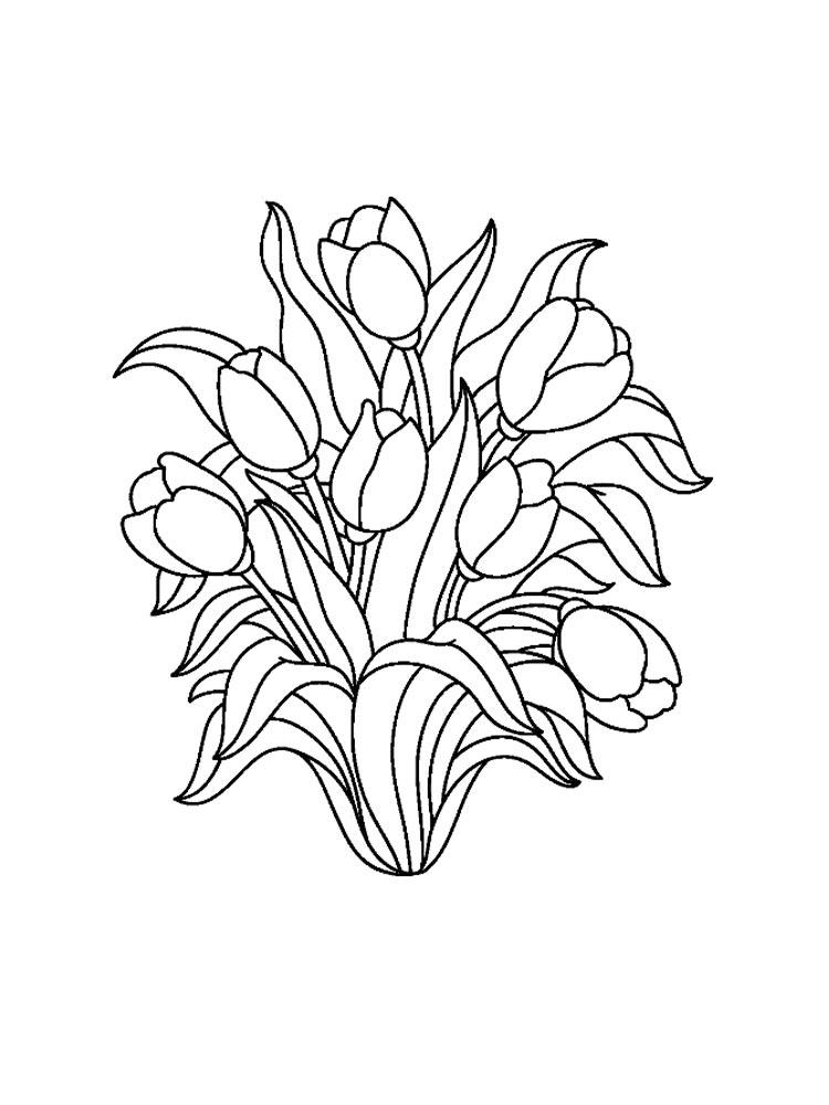 Tulip coloring pages 31