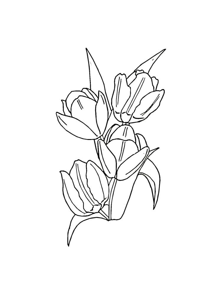 Tulip coloring pages 32