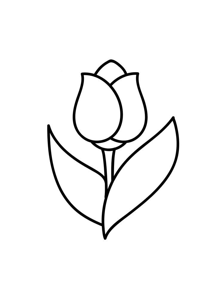 Tulip coloring pages 35