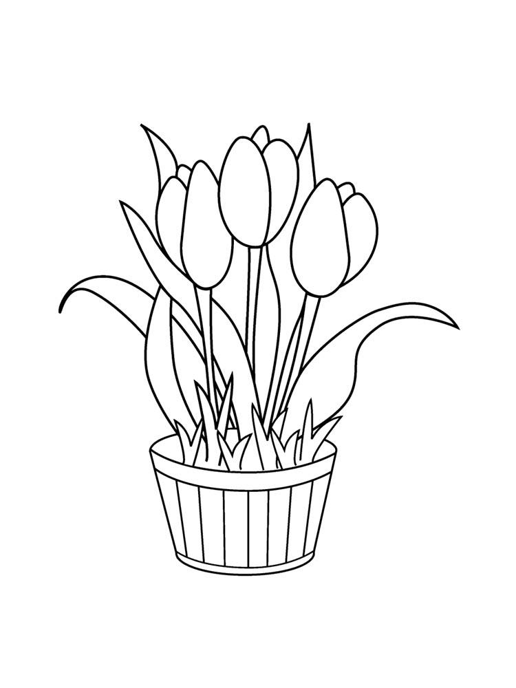 Tulip coloring pages 36