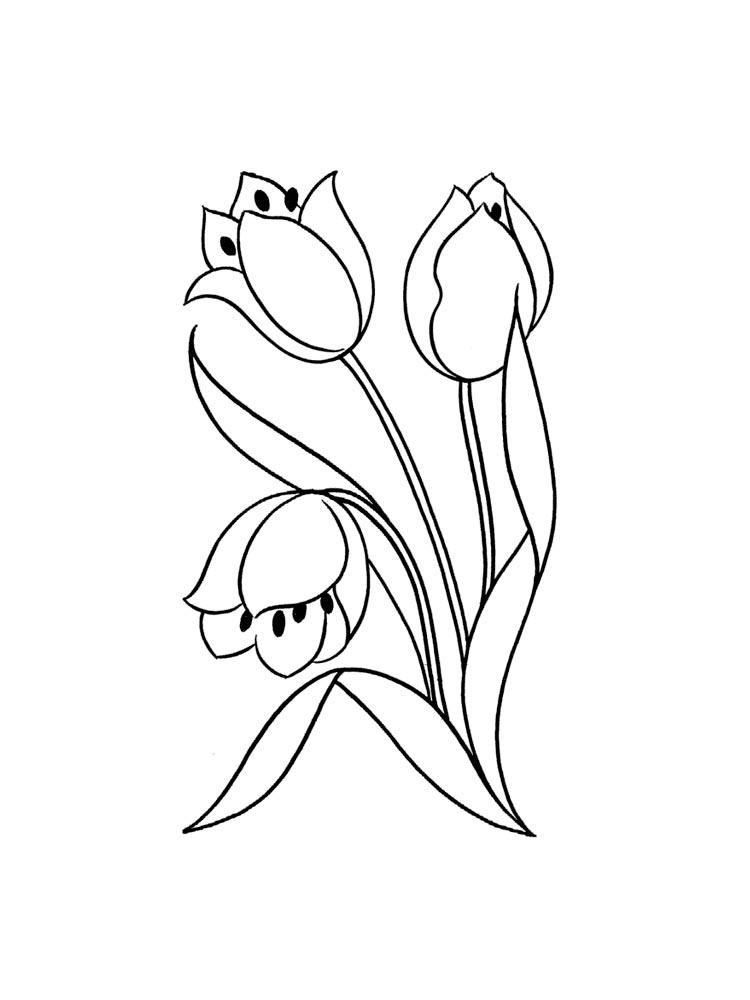 Tulip coloring pages 39