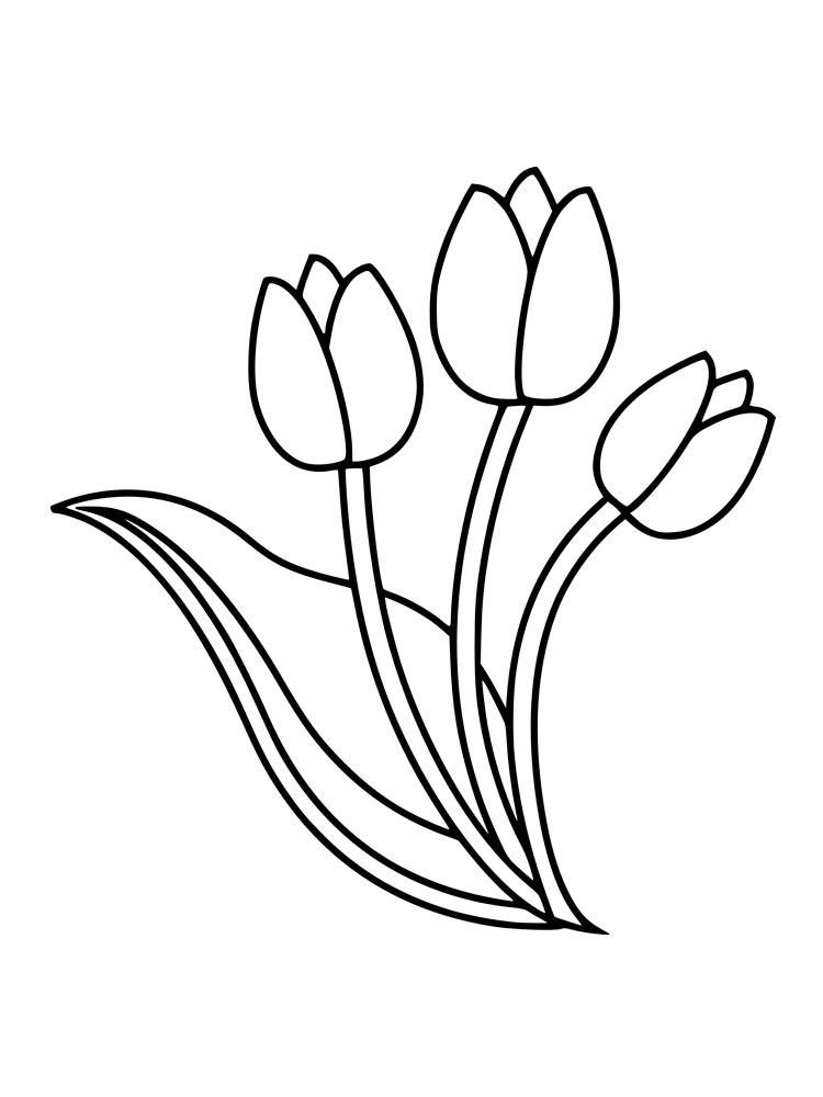 Tulip coloring pages 40