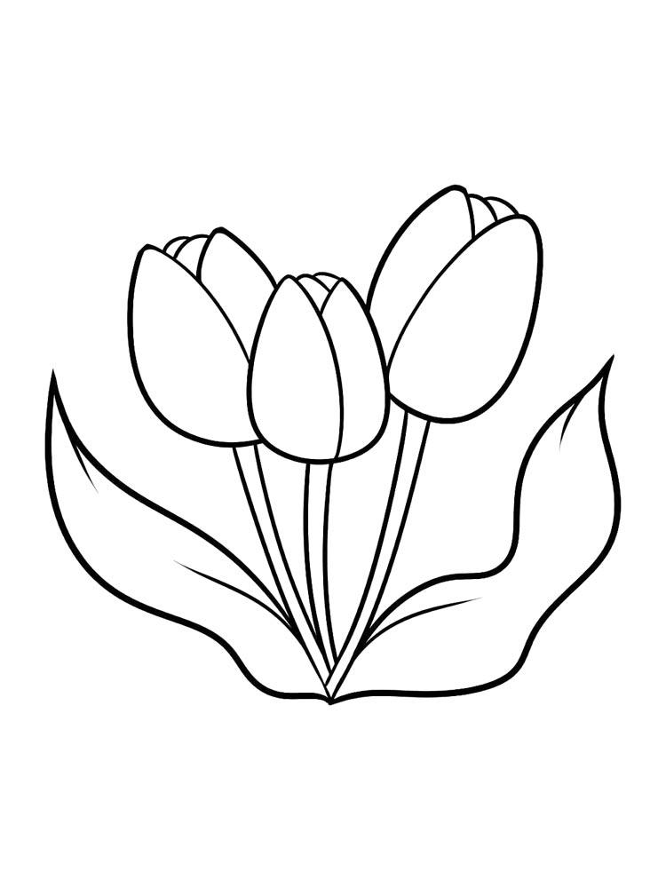 Tulip coloring pages 5