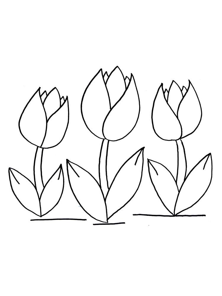 Tulip coloring pages 6