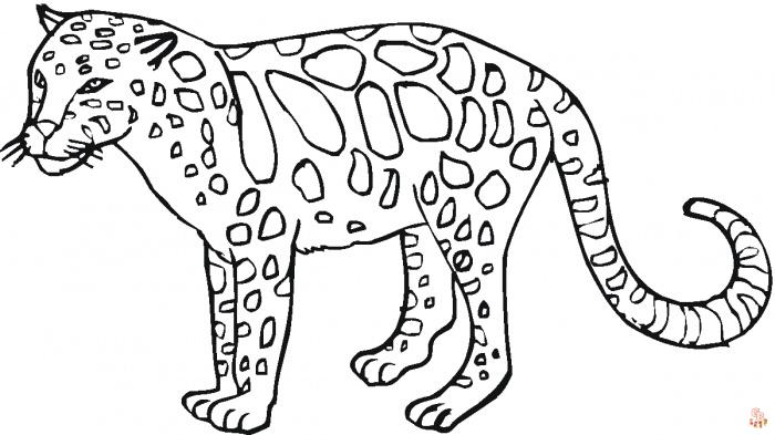 Wild Animals coloring pages 2