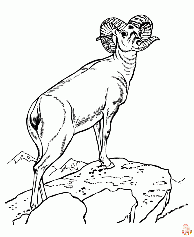 Wild Animals coloring pages 3