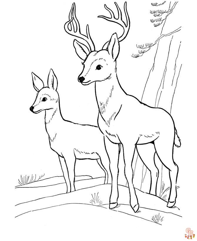 Wild Animals coloring pages 4