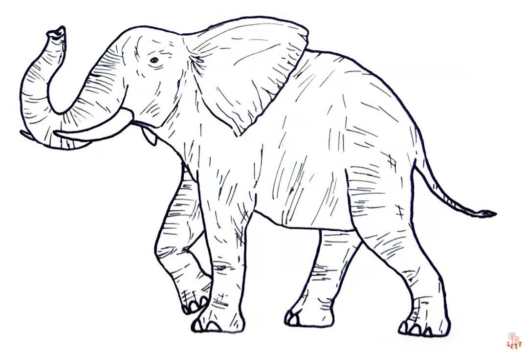 Wild Animals coloring pages 7