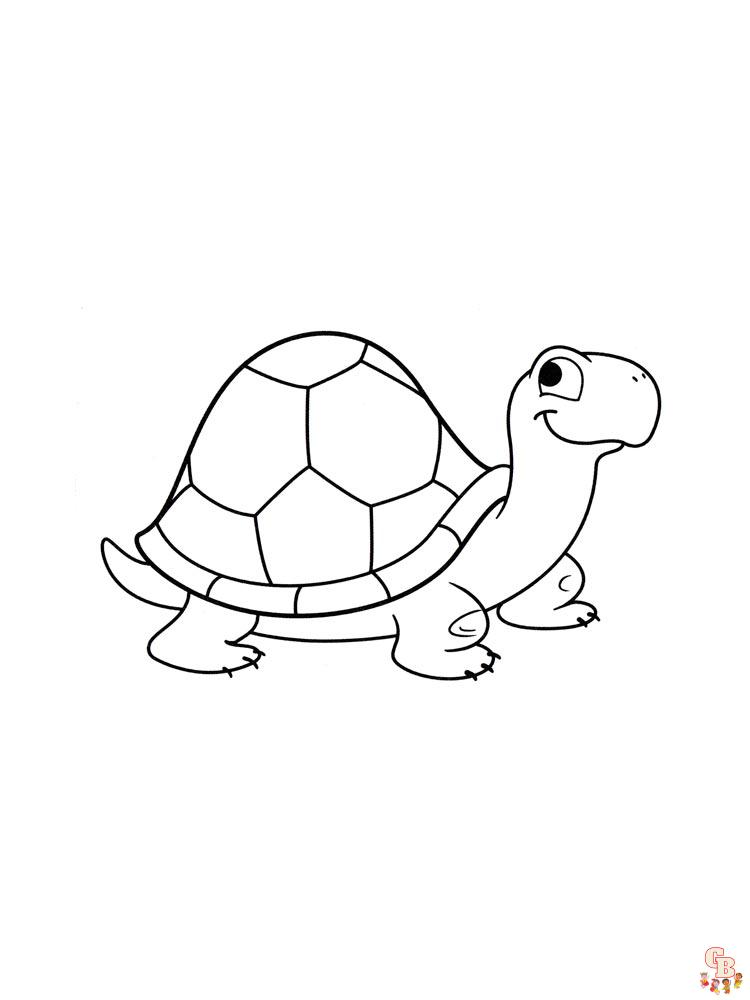 turtles Coloring Pages 55