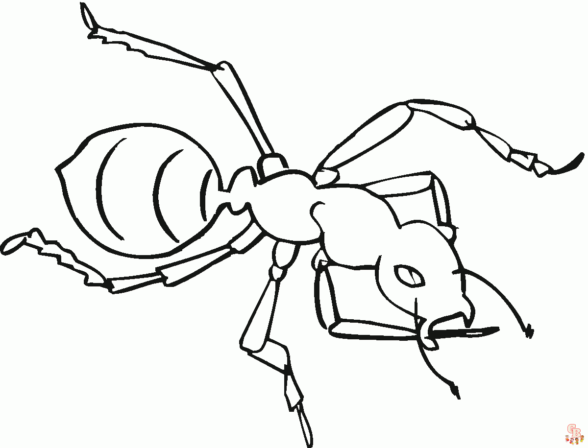 Ant Coloring Pages01