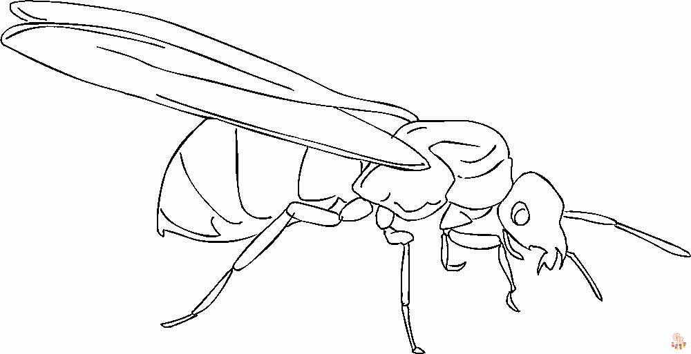 Ant Coloring Pages05