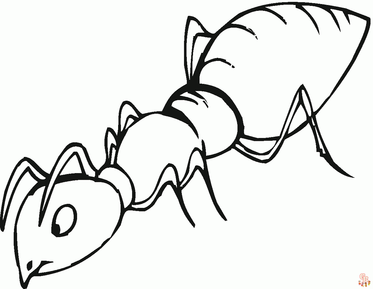 Ant Coloring Pages09