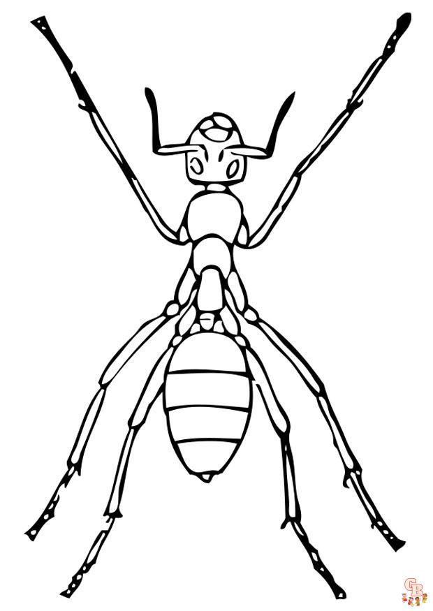 Ant Coloring Pages10