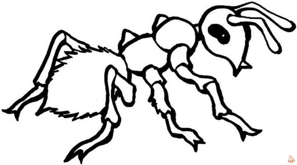 Ant Coloring Pages11