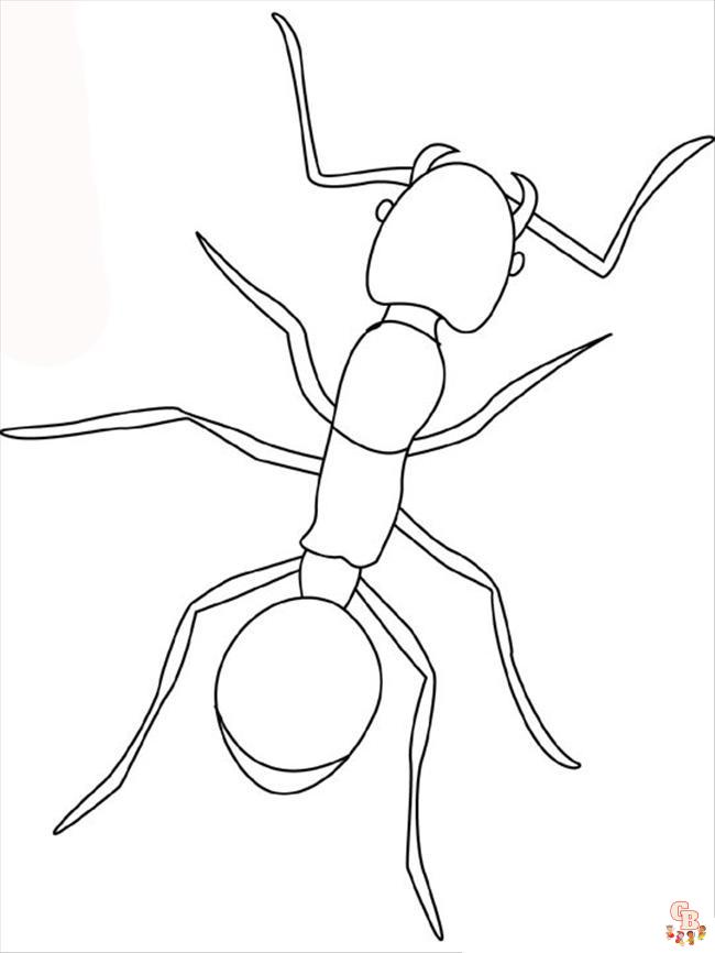 Ant Coloring Pages13