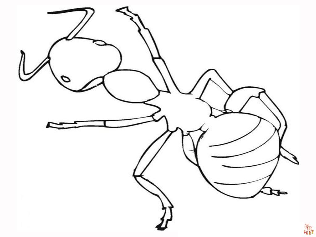 Ant Coloring Pages14