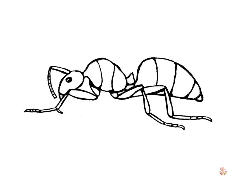 Ant Coloring Pages17