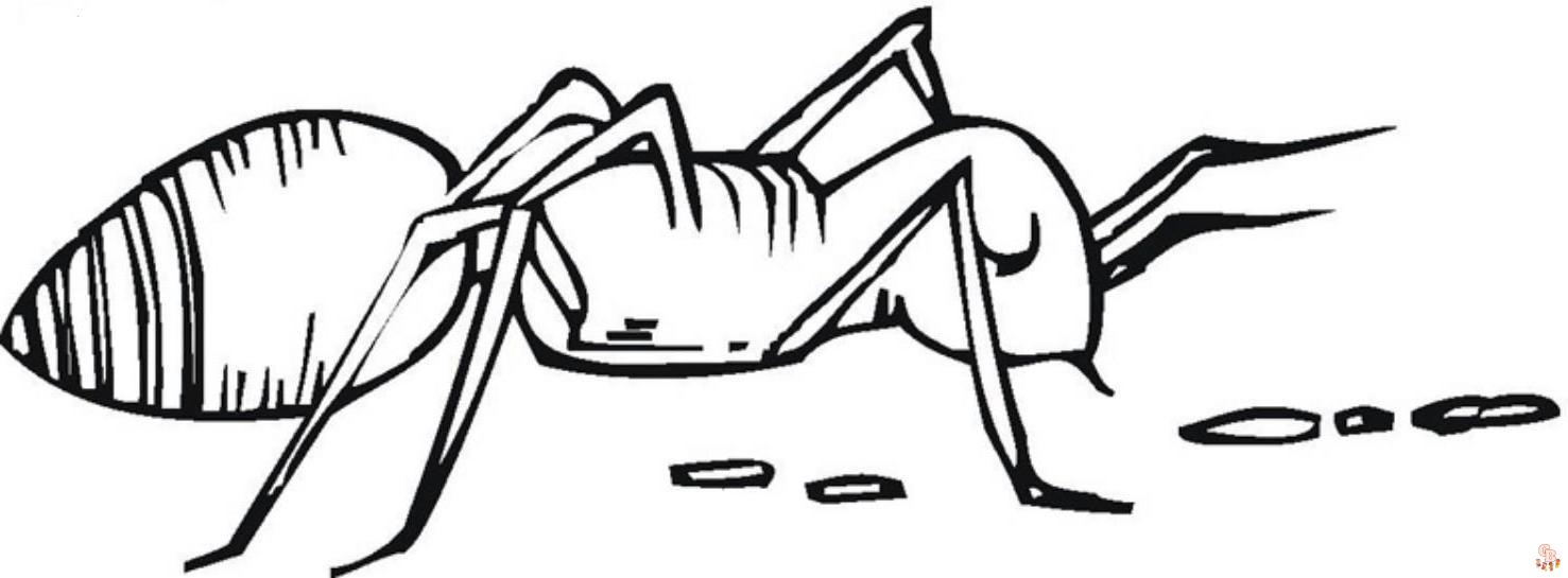 Ant Coloring Pages18