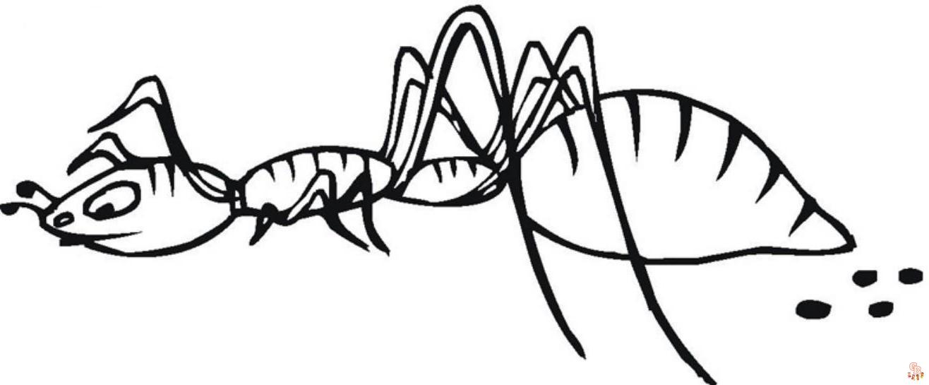 Ant Coloring Pages19