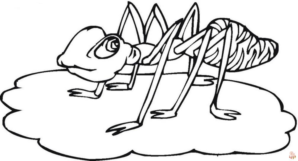 Ant Coloring Pages21