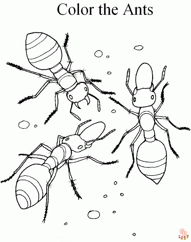 Ant Coloring Pages23