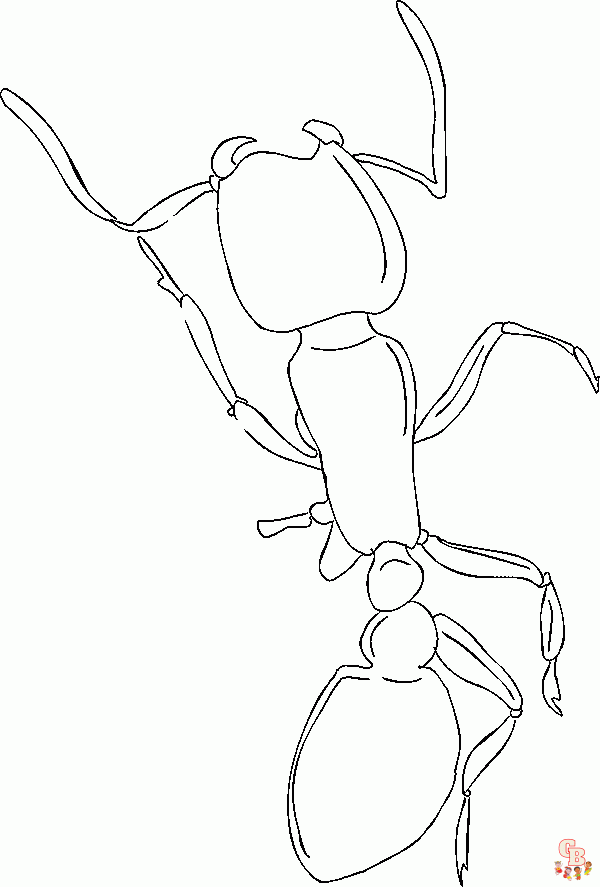 Ant Coloring Pages25